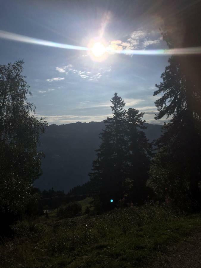 Schweinberger Sixtus Leilighet Aschau Im Zillertal Eksteriør bilde